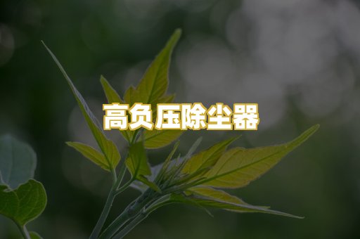 高负压除尘器
